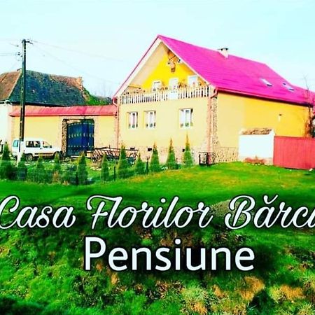Apartament Casa Florilor Barcut Zewnętrze zdjęcie