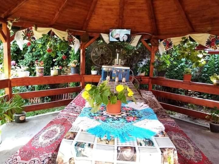 Apartament Casa Florilor Barcut Zewnętrze zdjęcie