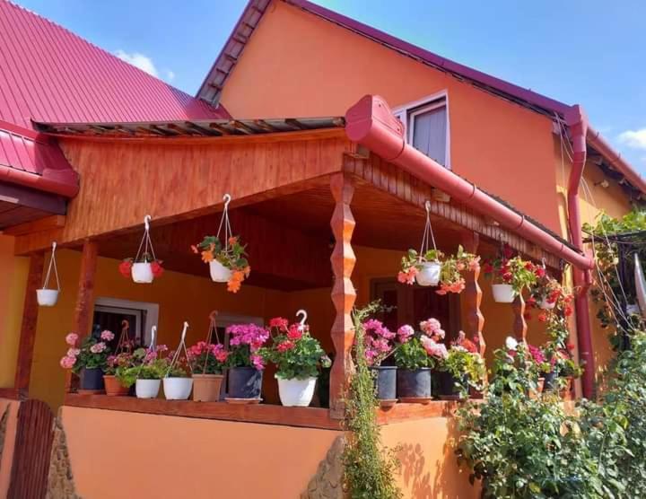 Apartament Casa Florilor Barcut Zewnętrze zdjęcie