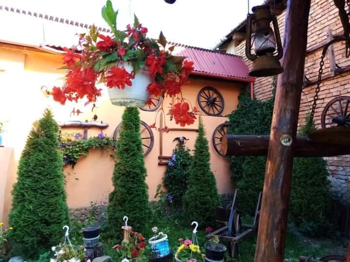 Apartament Casa Florilor Barcut Zewnętrze zdjęcie