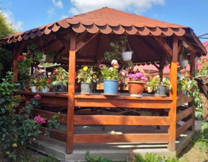 Apartament Casa Florilor Barcut Zewnętrze zdjęcie