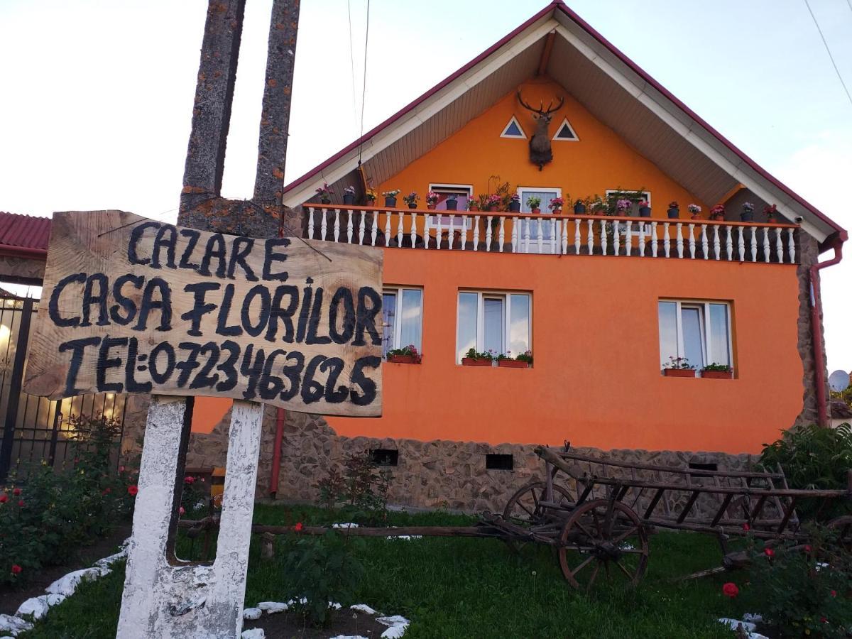 Apartament Casa Florilor Barcut Zewnętrze zdjęcie