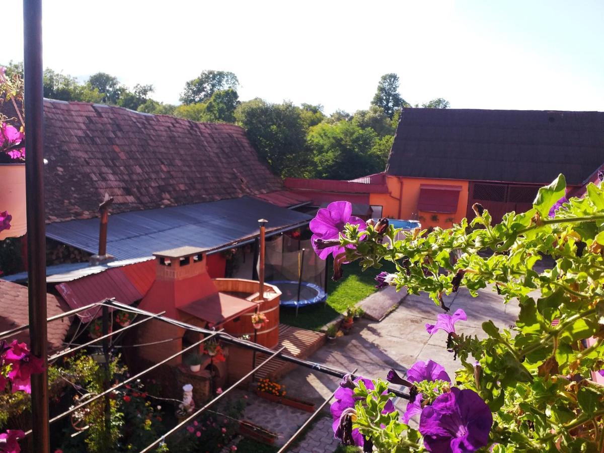 Apartament Casa Florilor Barcut Zewnętrze zdjęcie