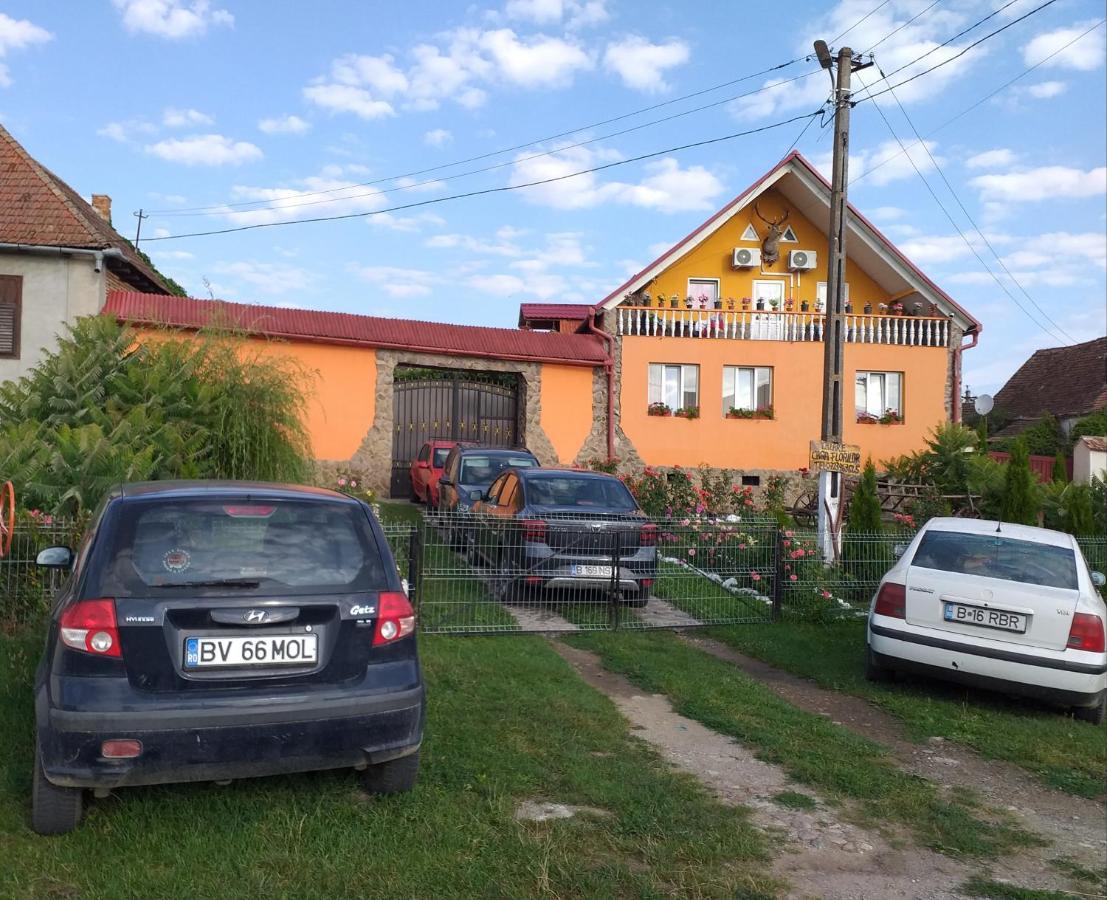 Apartament Casa Florilor Barcut Zewnętrze zdjęcie