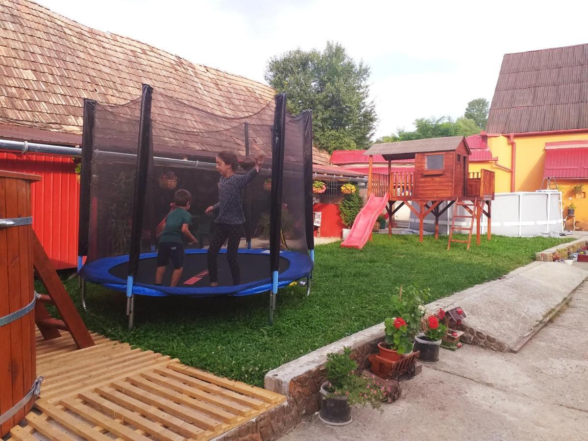 Apartament Casa Florilor Barcut Zewnętrze zdjęcie