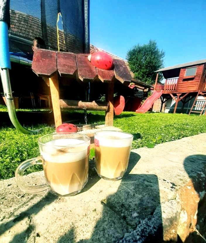 Apartament Casa Florilor Barcut Zewnętrze zdjęcie