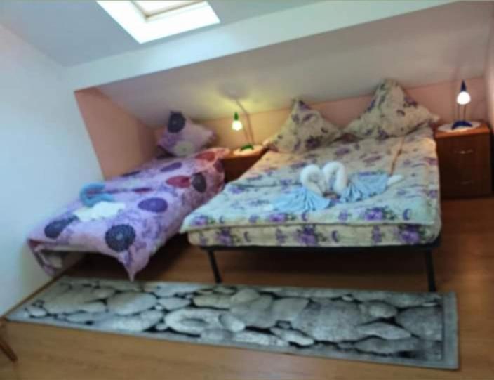 Apartament Casa Florilor Barcut Zewnętrze zdjęcie