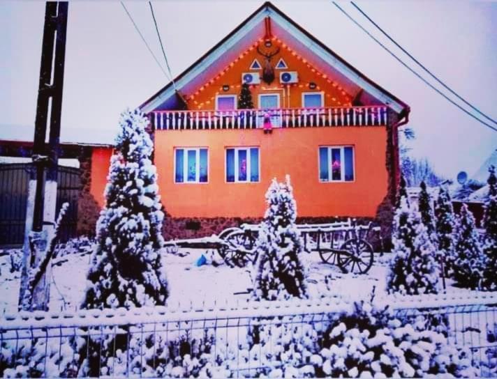 Apartament Casa Florilor Barcut Zewnętrze zdjęcie