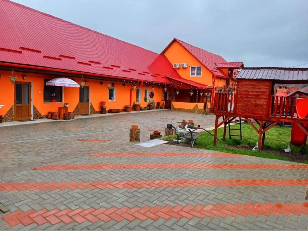 Apartament Casa Florilor Barcut Zewnętrze zdjęcie