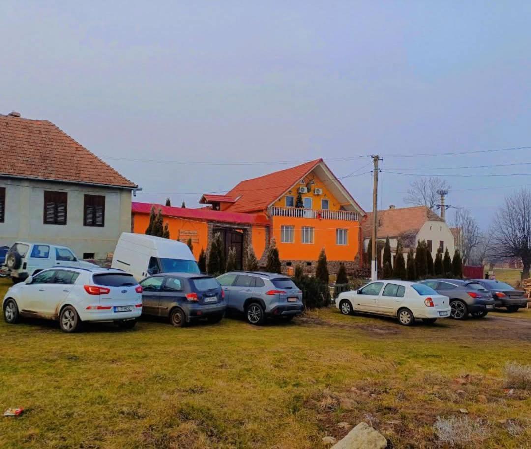Apartament Casa Florilor Barcut Zewnętrze zdjęcie